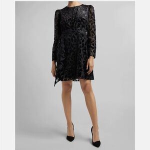 Express Leopard Velvet Burnout Ruffle Front Dress